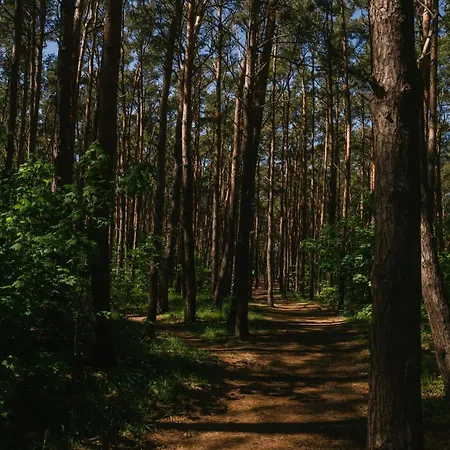 Seaside Premium By Evibell Gdańsk