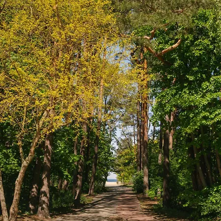 Seaside Premium By Evibell Апартаменты *