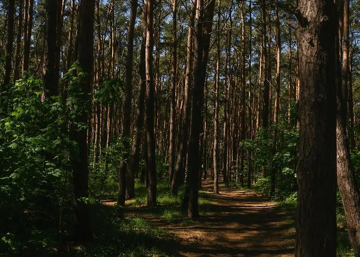 Seaside Premium By Evibell グダニスク