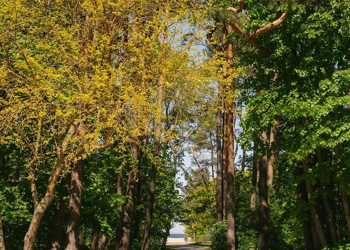 Seaside Premium By Evibell Apartman *